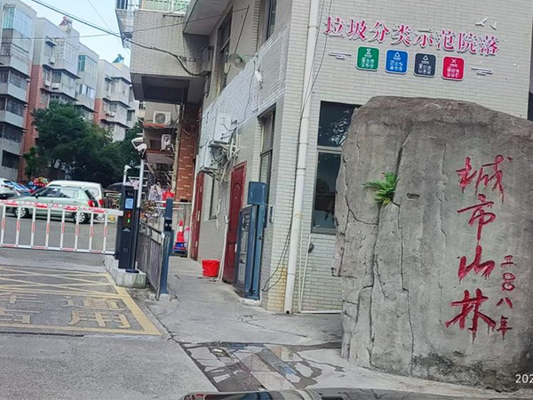 城市山林